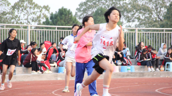 常德德才科技職業(yè)學(xué)校,常德招生就業(yè),電子商務(wù)專(zhuān)業(yè)學(xué)校,專(zhuān)業(yè)學(xué)校報(bào)考哪里好 常德德才科技職業(yè)學(xué)校,常德招生就業(yè),電子商務(wù)專(zhuān)業(yè)學(xué)校,專(zhuān)業(yè)學(xué)校報(bào)考哪里好